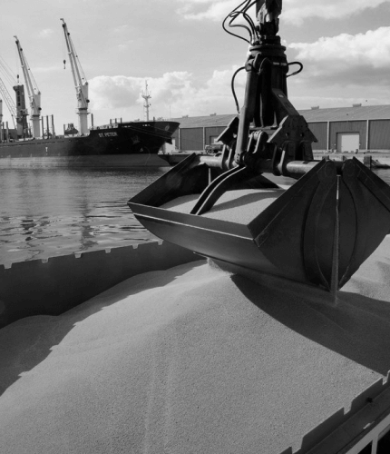 crane